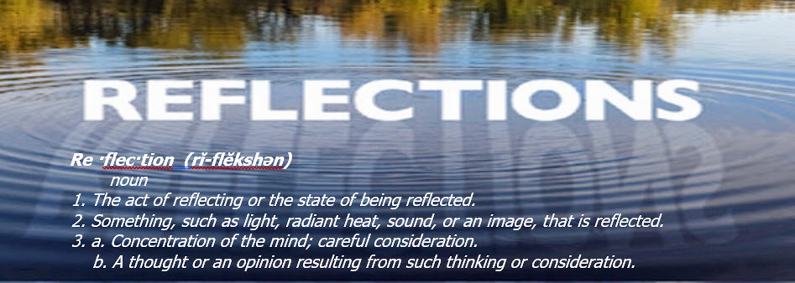 2025 Spring Show Reflections